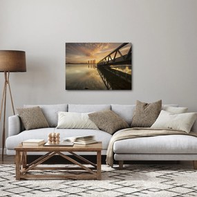 Obraz móla (70x50 cm)