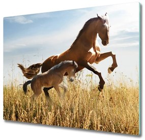 Sklenená doska na krájanie Kôň s hříbatem 60x52 cm