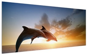 Obraz delfínov (120x50 cm)