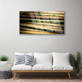 Obraz na skle Bambus rastlina príroda 120x60 cm