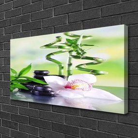 Obraz Canvas Orchidea bambus zen kúpele 125x50 cm