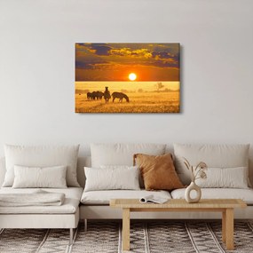 Obraz - Zebry so západom slnka (90x60 cm)