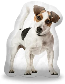 Sablio 3D vankúš Jack russell teriér