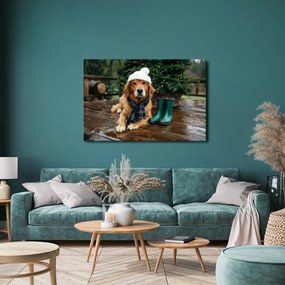 Obraz vianočný pes na terase