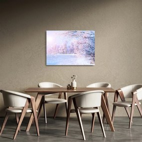 Sklenený obraz - Mrazivá zima (70x50 cm)