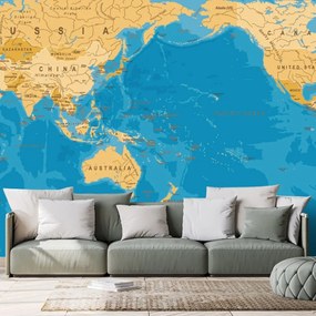Samolepiaca tapeta mapa sveta v zaujímavom prevedení - 150x100