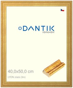 DANTIK rám na obraz 40x50 | LYON zlatá (Plexi Čiré)