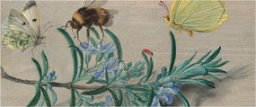 Obraz - Jan van Kessel the Elder, Insects and a Sprig of Rosemary, reprodukcia (120x50 cm)