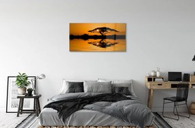 Obraz plexi Sunset tree 100x50 cm