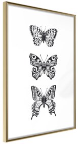 Artgeist Plagát - Three Butterflies [Poster] Veľkosť: 20x30, Verzia: Zlatý rám