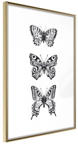 Artgeist Plagát - Three Butterflies [Poster] Veľkosť: 30x45, Verzia: Čierny rám s passe-partout