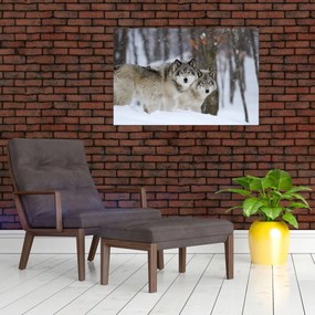 Obraz - Vlci v zime (90x60 cm)