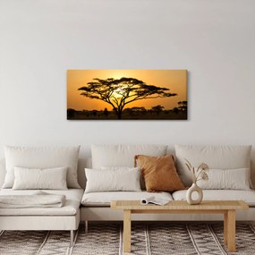 Obraz - Africká savana (120x50 cm)