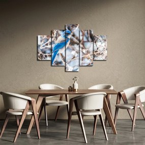 Obraz - Zimný vtáčik (150x105 cm)