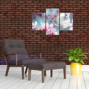 Obraz - Motýľ na čerešni (90x60 cm)