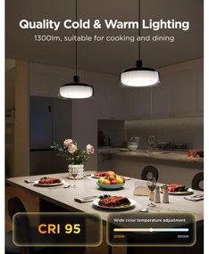 Govee - LED RGBICWW stlmiteľný závesný luster na lane LED/21W/230V Matter Wi-Fi