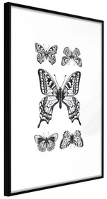 Artgeist Plagát - Five Butterflies [Poster] Veľkosť: 20x30, Verzia: Čierny rám