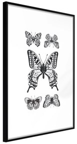 Artgeist Plagát - Five Butterflies [Poster] Veľkosť: 40x60, Verzia: Zlatý rám s passe-partout