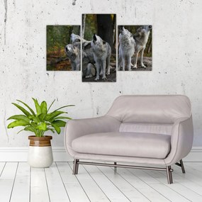 Obraz - Vlci na skale (90x60 cm)