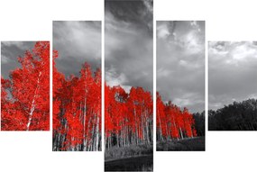 Obraz - Stromy vo farbe jesene (150x105 cm)