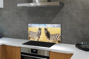 Nástenný panel  zebra box 140x70 cm