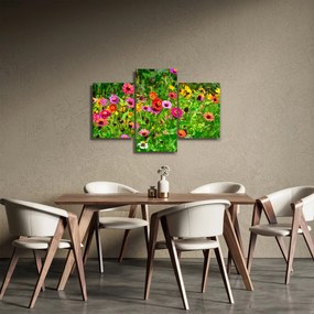 Obraz lúčnych kvetov (90x60 cm)