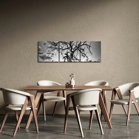 Obraz - Čiernobiely strom (s hodinami) (90x30 cm)