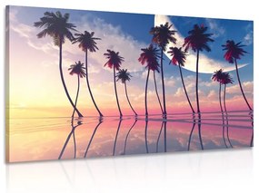 Obraz západ slnka nad tropickými palmami