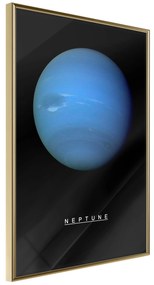Artgeist Plagát - Neptune [Poster] Veľkosť: 40x60, Verzia: Zlatý rám