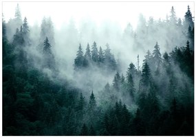 Samolepiaca fototapeta  - Horský les (tmavozelený) 441x315