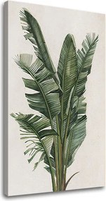 Obraz na plátne RASTLINY 007