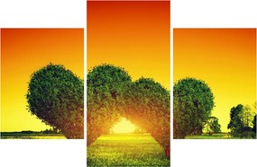 Obraz - Srdce v korunách stromov (90x60 cm)