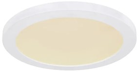 Globo 12379-24W - LED Stropné svietidlo LASSE LED/24W/230V