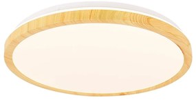 LED stropné svietidlo v prírodnej farbe ø 48 cm Gandava – Candellux Lighting