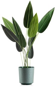 PLASTOVÝ KVETINÁČ ALOE TX 25,5X27 CM TMAVOZELENÁ