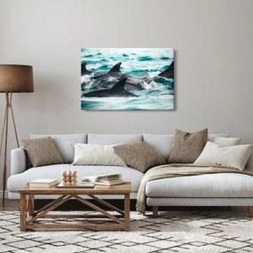 Obraz - Delfíny v oceáne (90x60 cm)