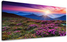 Obraz na stenu PANORÁMA KRAJINA | rôzne rozmery