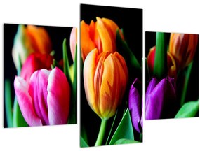 Obraz tulipánov na čiernom pozadí (90x60 cm)