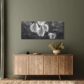 Obraz - Cottongrass (120x50 cm)