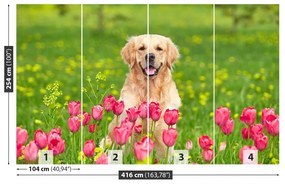 Fototapeta Vliesová Psie tulipány 250x104 cm