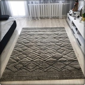 Dekorstudio Moderný koberec RIO vzor 166 sivý Rozmer koberca: 200x290cm