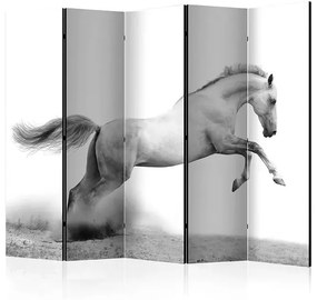 Paraván - White gallop II [Room Dividers] Veľkosť: 225x172, Verzia: Jednostranný