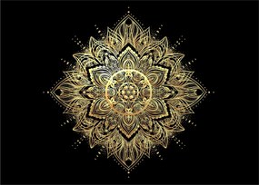 Obraz - Mandala bohatstvo (70x50 cm)