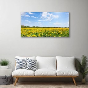 Obraz na plátne Púpava príroda 125x50 cm
