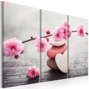 Obraz - Zen: Cherry Blossoms II Veľkosť: 90x60, Verzia: Na talianskom plátne