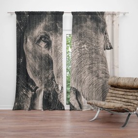 Sablio Záves Slon: 2 ks 140x250 cm