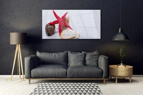 Obraz plexi Hviezdice mušle umenie 120x60 cm