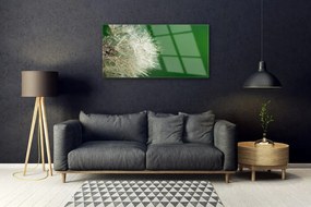 Obraz na skle Púpava rastlina 100x50 cm