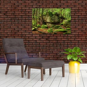 Obraz čarovného lesa (90x60 cm)