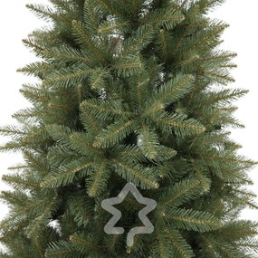 Smrek Kavkazský 210 cm